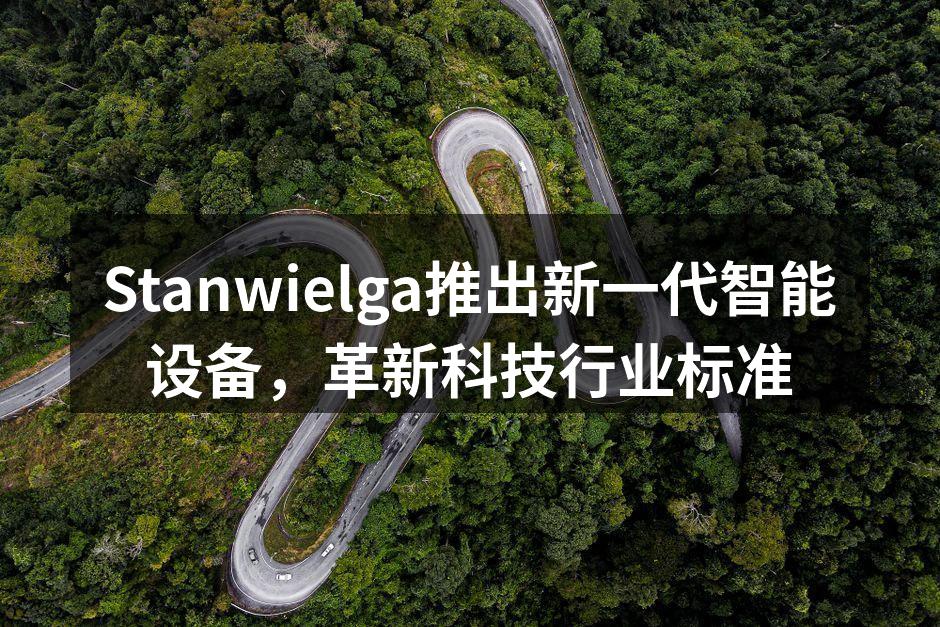 Stanwielga新产品发布会现场